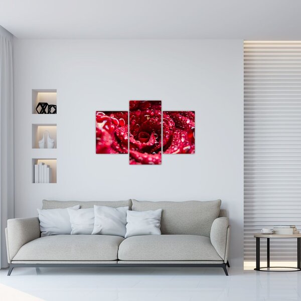 Slika cvijeta crvene ruže (90x60 cm)