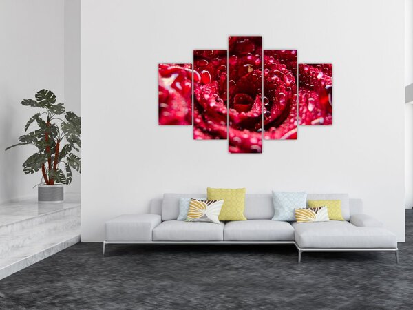 Slika cvijeta crvene ruže (150x105 cm)
