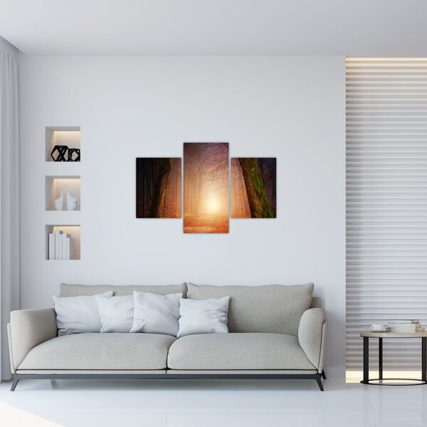 Slika jesenske šume u magli (90x60 cm)