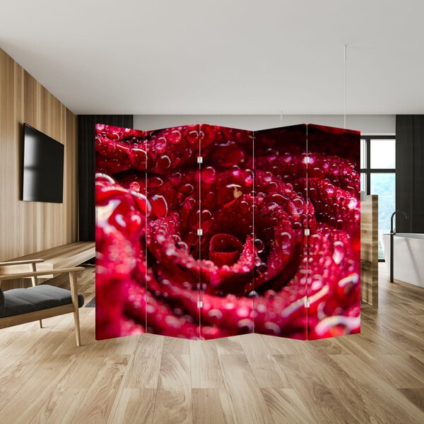 Paravan - cvijet crvene ruže (210x170 cm)