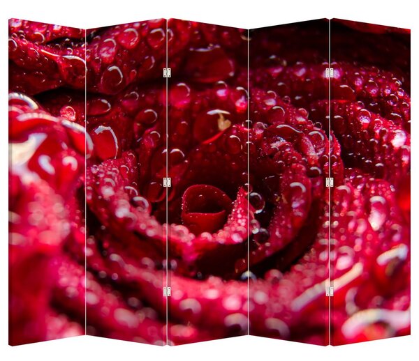 Paravan - cvijet crvene ruže (210x170 cm)