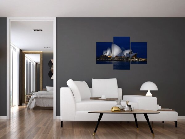Noćna slika Sydneya (90x60 cm)