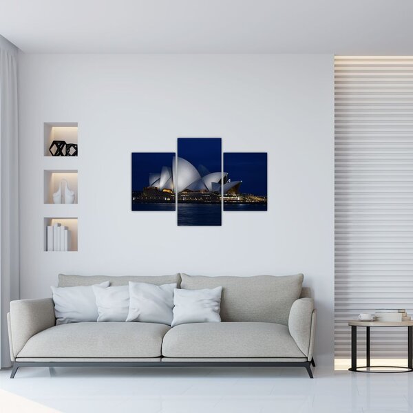 Noćna slika Sydneya (90x60 cm)