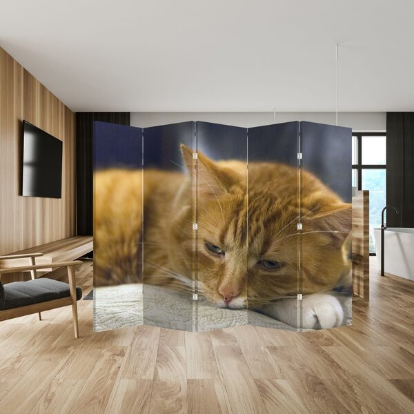 Paravan - Kat (210x170 cm)