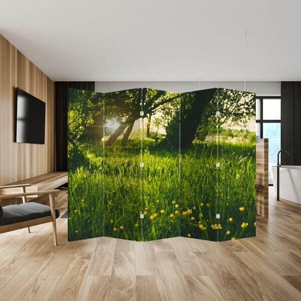 Paravan - Livada (210x170 cm)