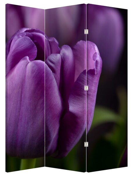 Paravan - cvijet tulipana (126x170 cm)