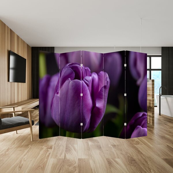 Paravan - cvijet tulipana (210x170 cm)