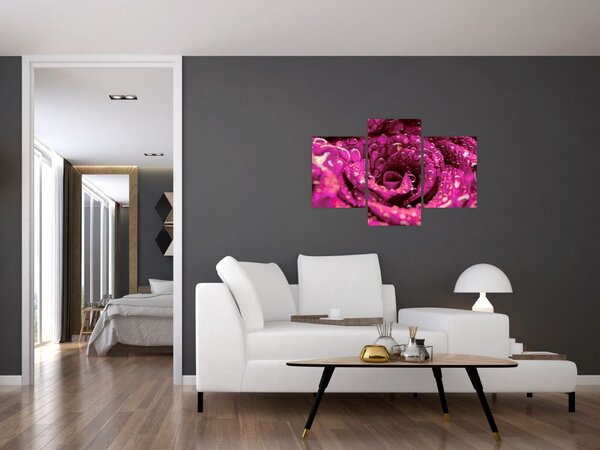 Slika cvijeta ružičaste ruže (90x60 cm)
