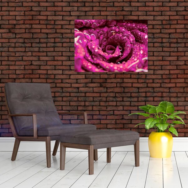 Slika cvijeta ružičaste ruže (70x50 cm)