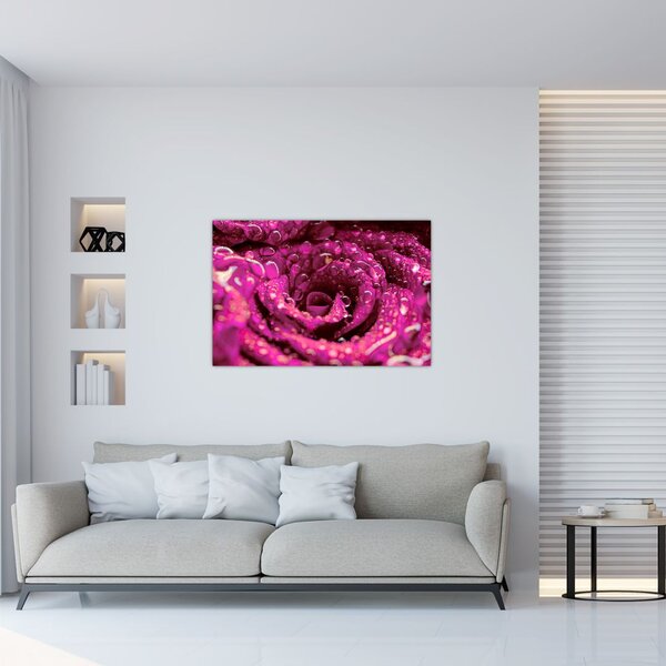 Slika cvijeta ružičaste ruže (90x60 cm)