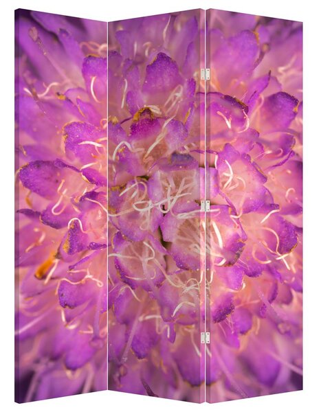 Paravan - Detalj cvijeta (126x170 cm)