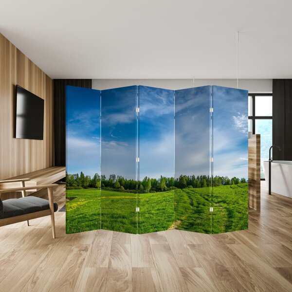 Paravan - Livada (210x170 cm)