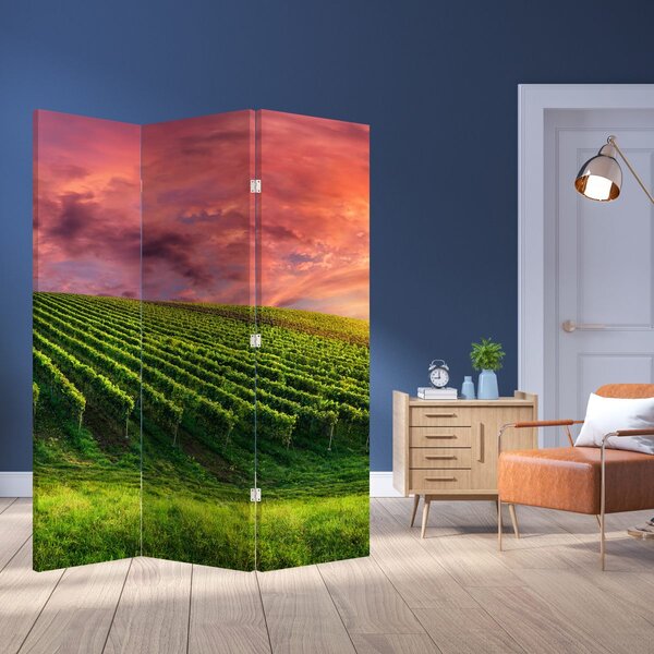 Paravan - Vinograd sa šarenim nebom (126x170 cm)