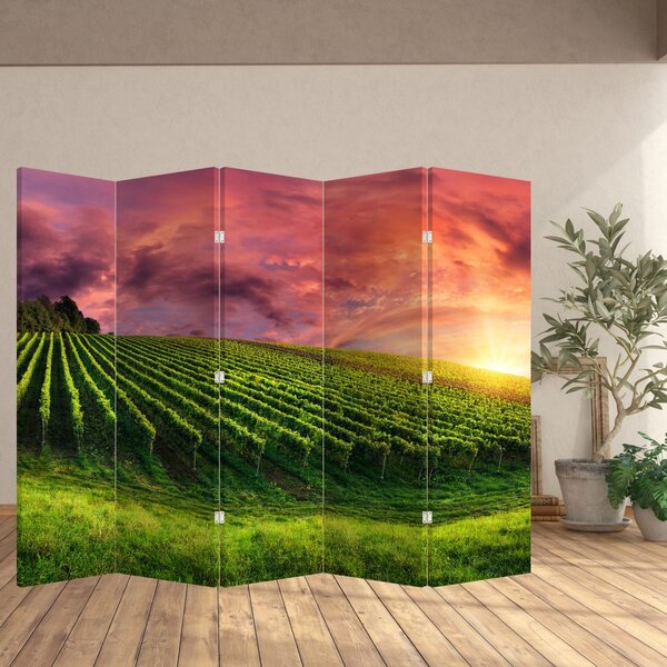 Paravan - Vinograd sa šarenim nebom (210x170 cm)