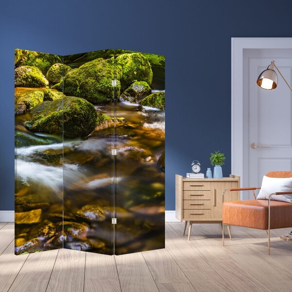 Paravan - Stream (126x170 cm)
