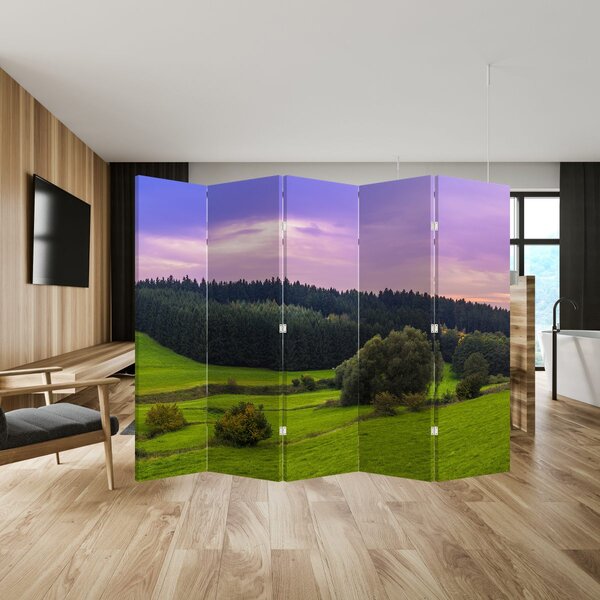 Paravan - Livada (210x170 cm)