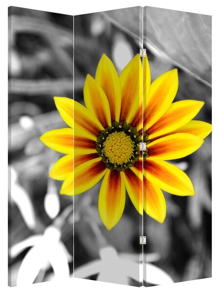 Paravan - Žuti cvijet (126x170 cm)