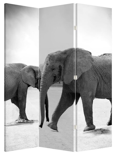 Paravan - Crni i bijeli slonovi (126x170 cm)