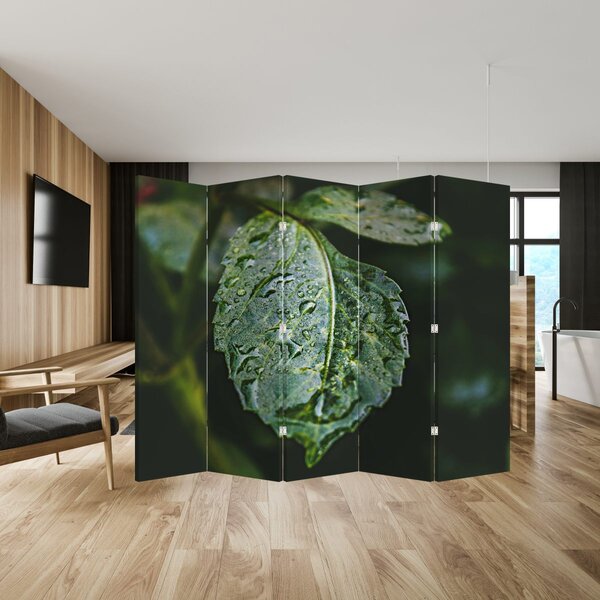 Paravan - Kapi na listu (210x170 cm)