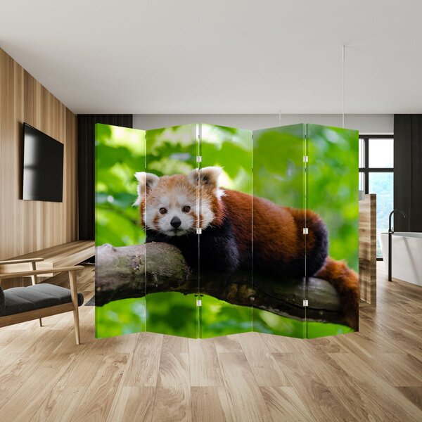 Paravan - Panda crvena (210x170 cm)