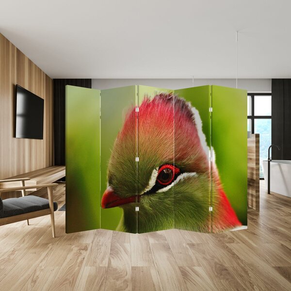 Paravan - Šarena ptica (210x170 cm)