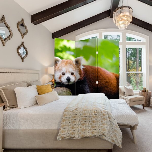 Paravan - Panda crvena (126x170 cm)