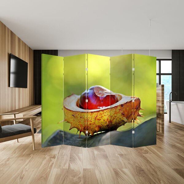 Paravan - kesten (210x170 cm)