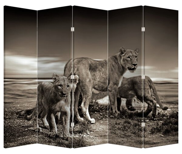 Paravan - Crni i bijeli lavovi (210x170 cm)
