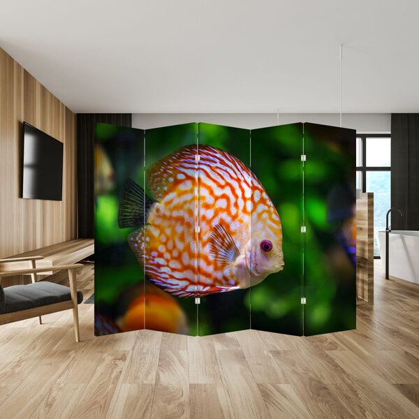 Paravan - Riba (210x170 cm)
