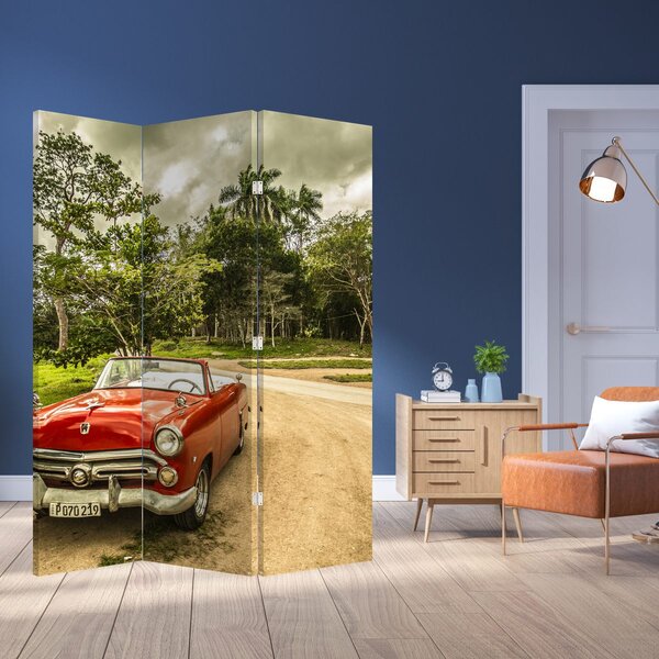 Paravan - Stari automobil u prirodi (126x170 cm)