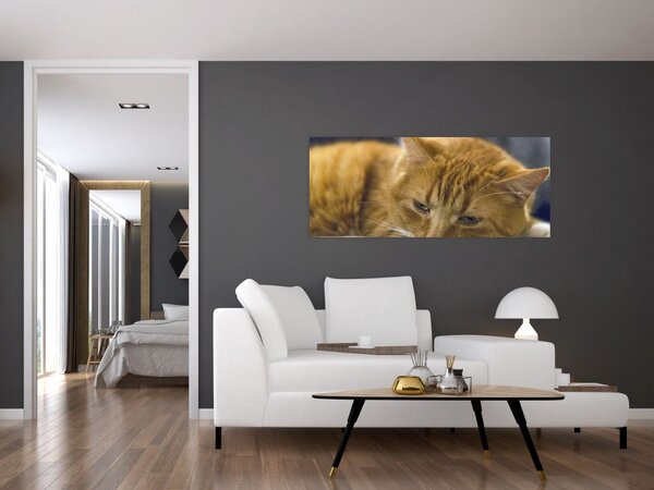 Slika mačke (120x50 cm)