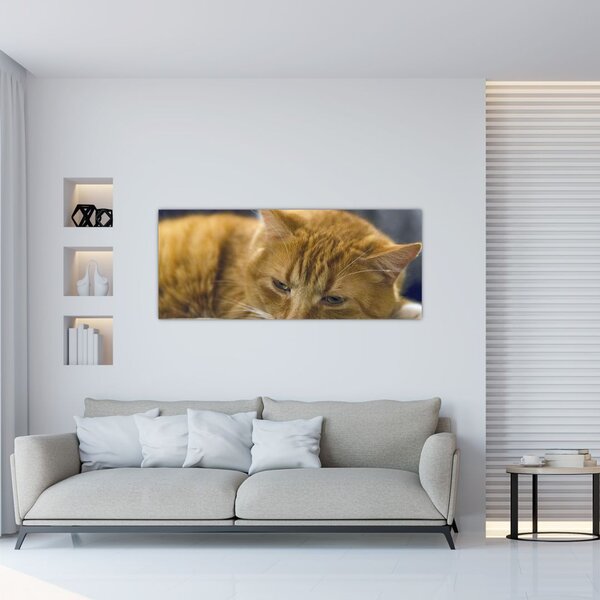 Slika mačke (120x50 cm)