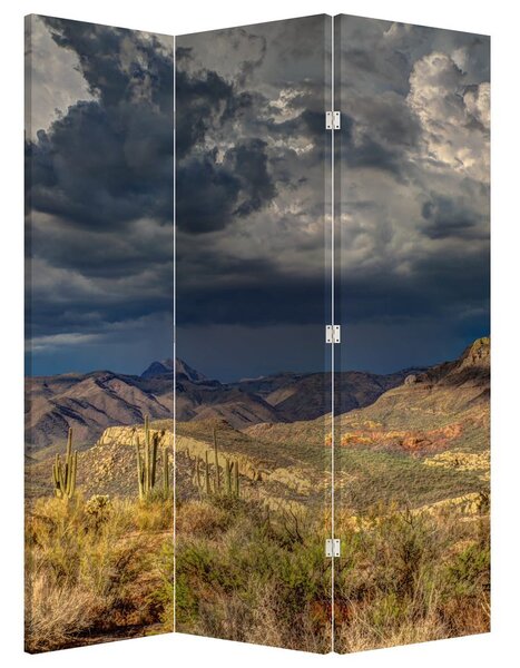 Paravan - Kaktusi u prirodi (126x170 cm)