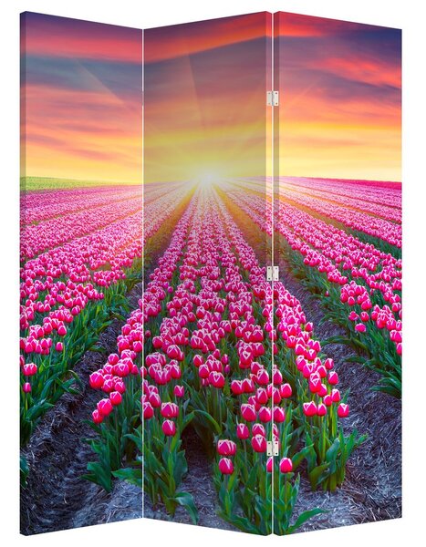 Paravan - Polje tulipana sa suncem (126x170 cm)