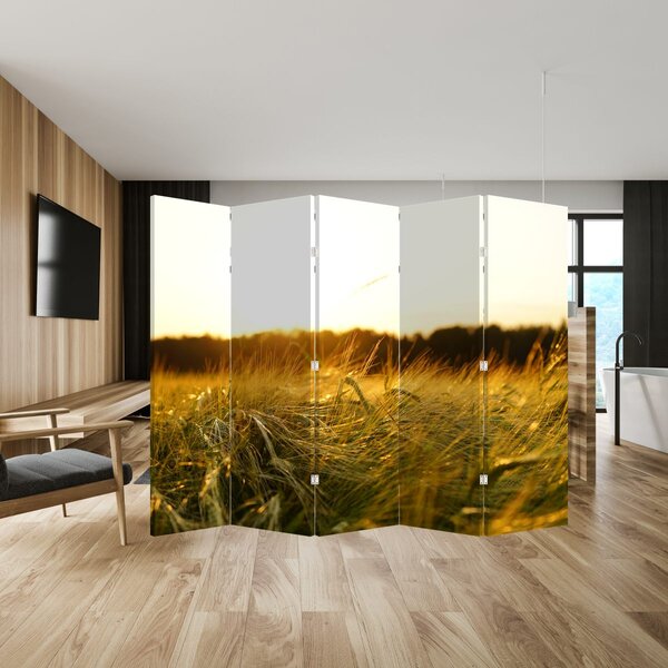 Paravan - Rosna trava (210x170 cm)