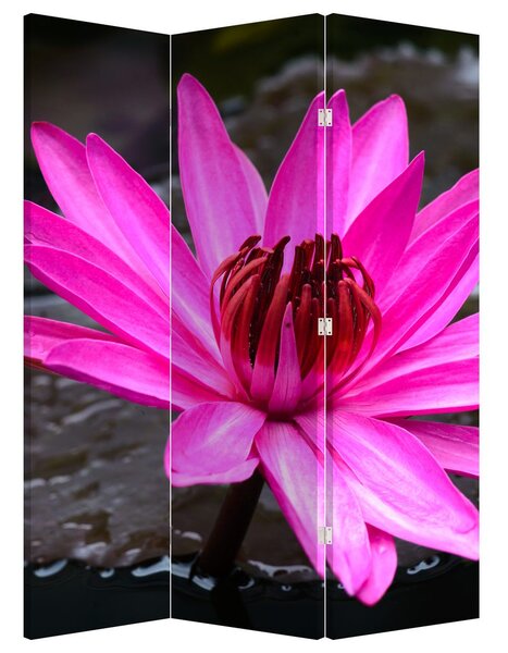 Paravan - Ružičasti cvijet (126x170 cm)