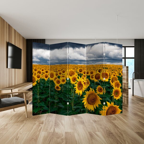 Paravan - Polje suncokreta (210x170 cm)