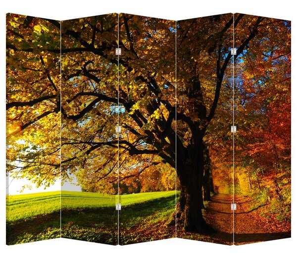 Paravan - Jesenje drvo (210x170 cm)