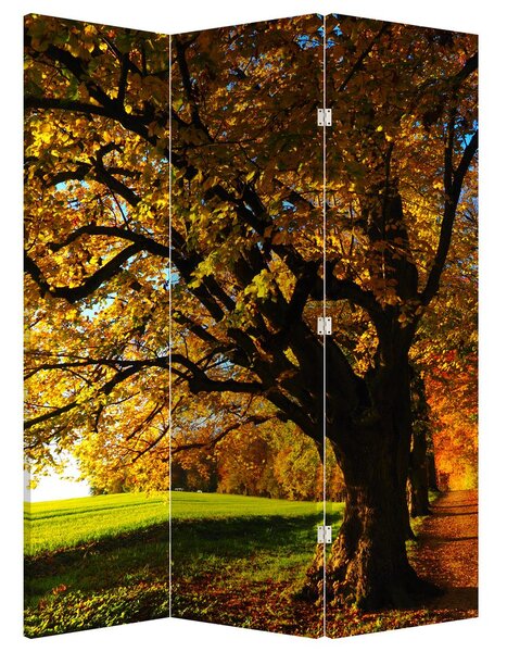 Paravan - Jesenje drvo (126x170 cm)