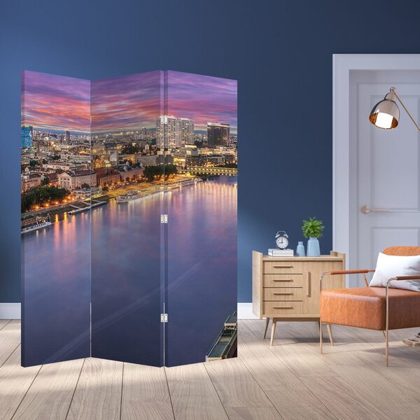 Paravan - Noćni grad Bratislava s rijekom (126x170 cm)