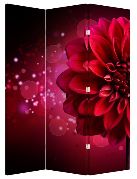 Paravan - Crveni cvijet (126x170 cm)