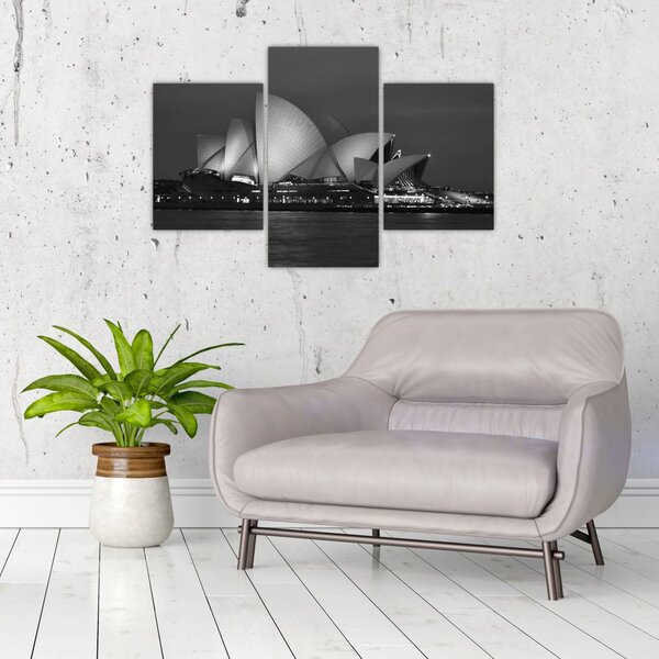 Slika Sydneyske opere (90x60 cm)