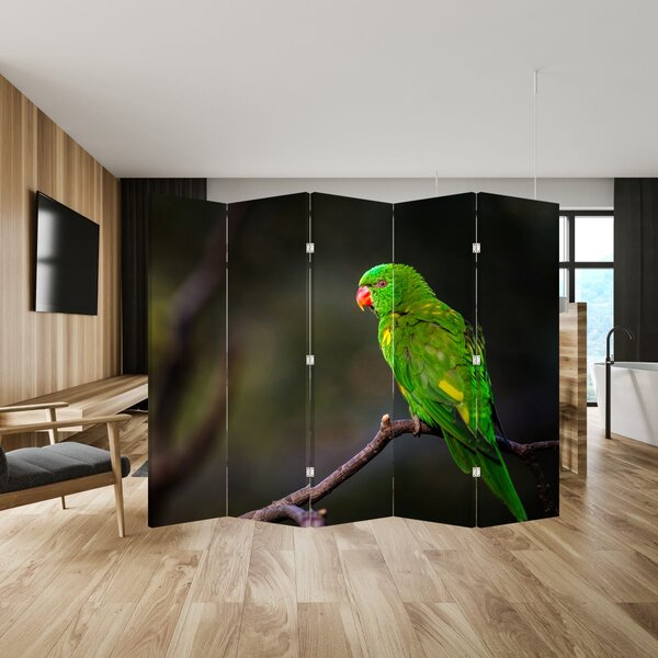 Paravan - Papiga na grani (210x170 cm)