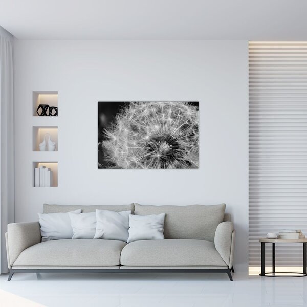 Slika - paperje maslačaka (90x60 cm)