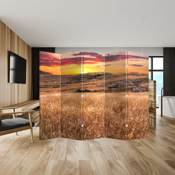 Paravan - Polje (210x170 cm)
