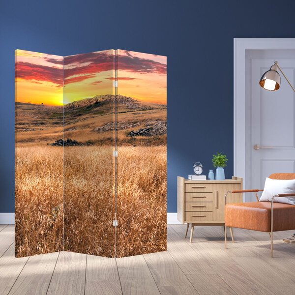 Paravan - Polje (126x170 cm)