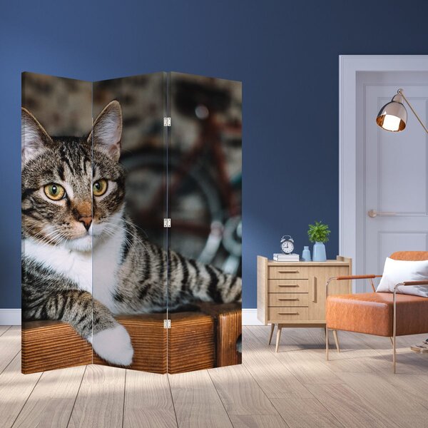 Paravan - Kat (126x170 cm)