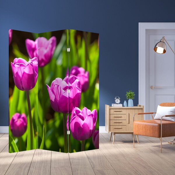 Paravan - Tulipani na livadi (126x170 cm)