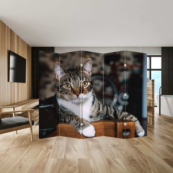 Paravan - Kat (210x170 cm)