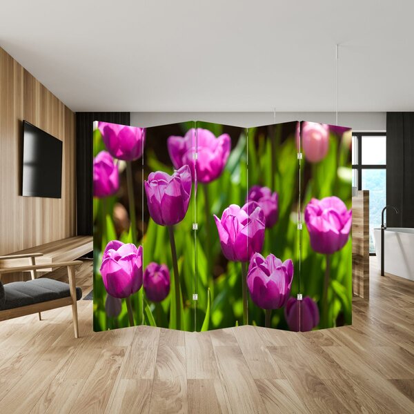Paravan - Tulipani na livadi (210x170 cm)